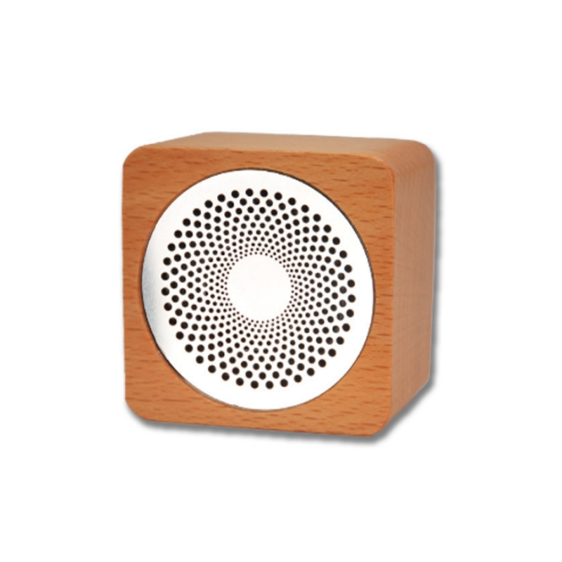 Mini Rechargeable Speaker