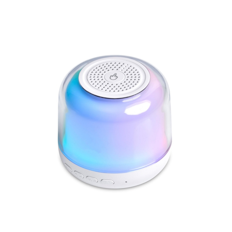 Small Portable Stereo Speaker