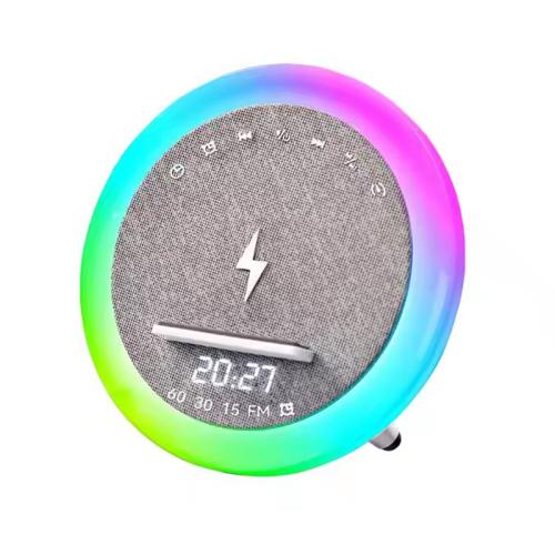 Lightweight Wireless Speaker